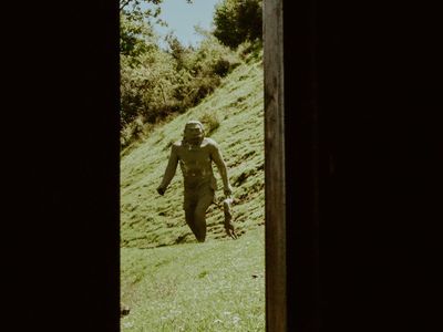 Person looking through window at green trees and sky